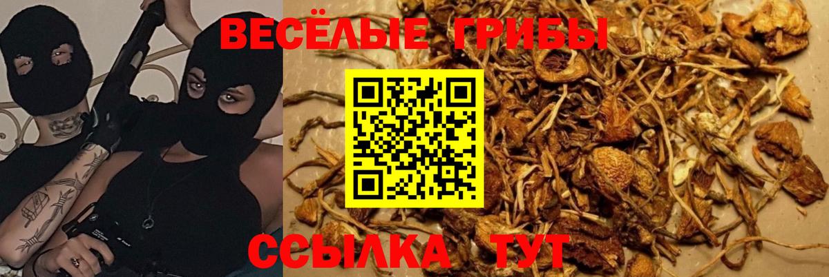 Галлюциногенные грибы Magic Shrooms Обь
